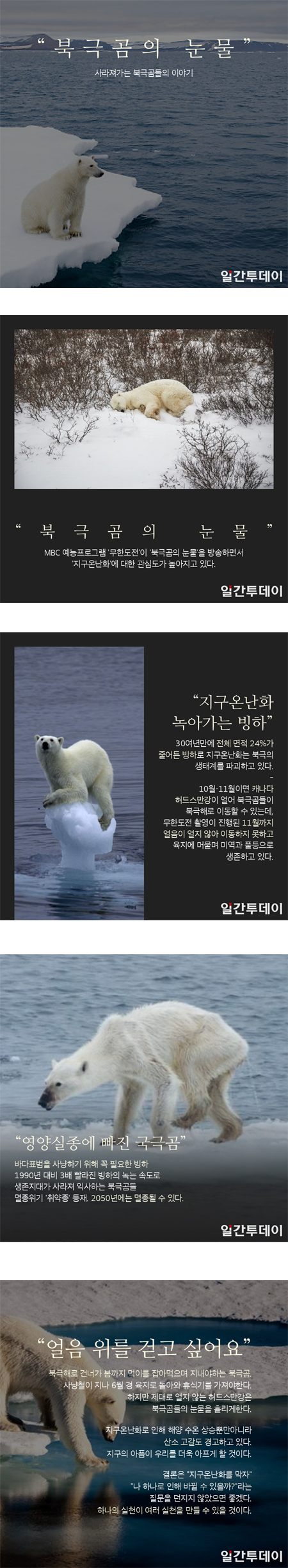 눈물 북극곰 의 [KISTI 과학향기]북극곰의