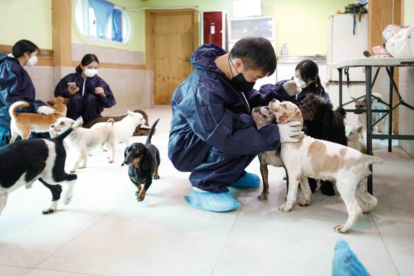 ▲ 한국마사회 봉사단 유기동물보호소 봉사활동 모습. 사진=마사회